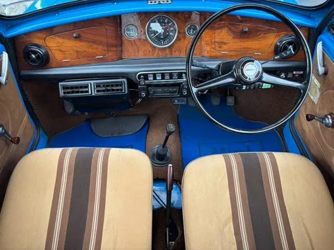 Rover Mini