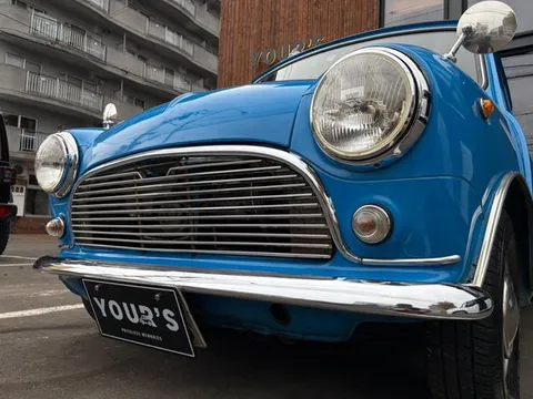 Rover Mini