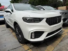 Wey VV5