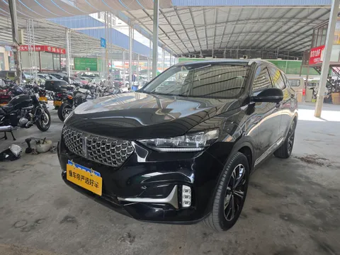 Wey VV6