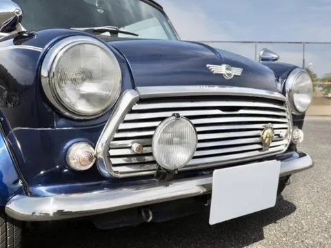 Rover Mini