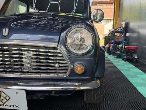 Rover Mini