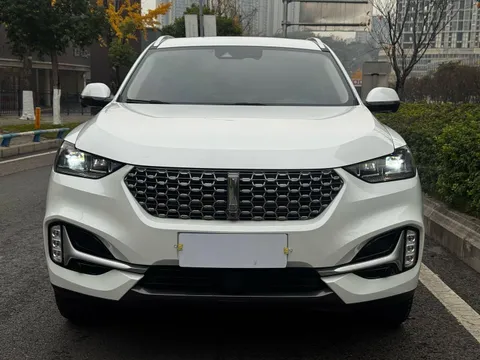 Wey VV6