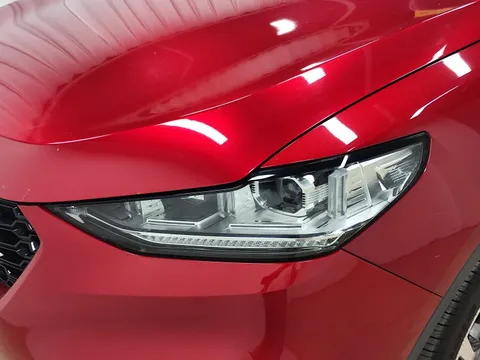 Wey VV6