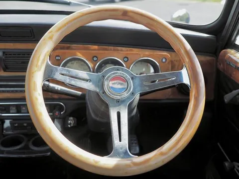Rover Mini