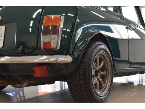 Rover Mini