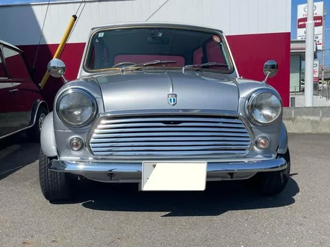 Rover Mini