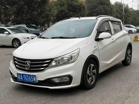 Baojun 310