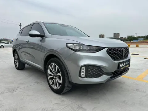 Wey VV6