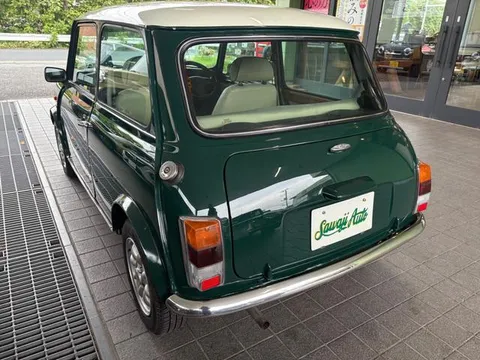Rover Mini