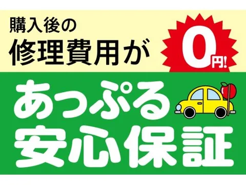 Honda N-BOX Plus Custom