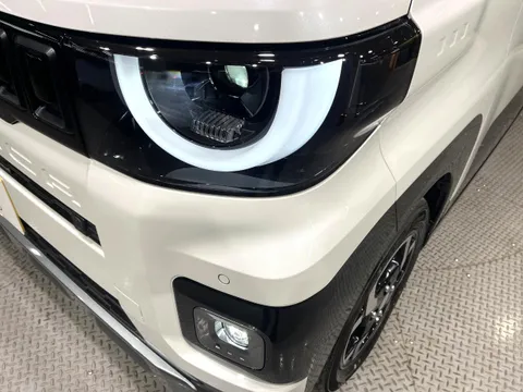 Mitsubishi Delica Mini