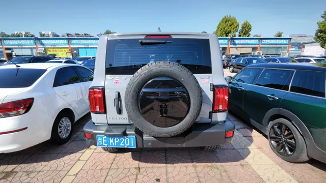 Tank 300