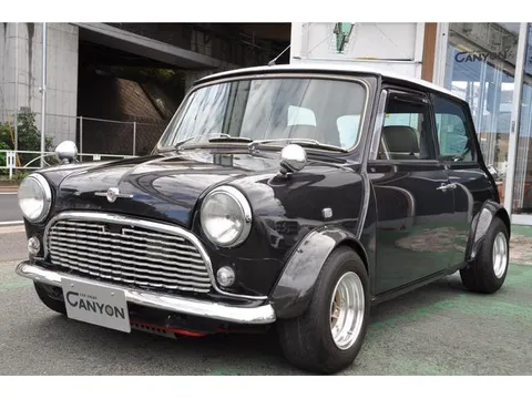 Rover Mini