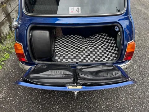Rover Mini