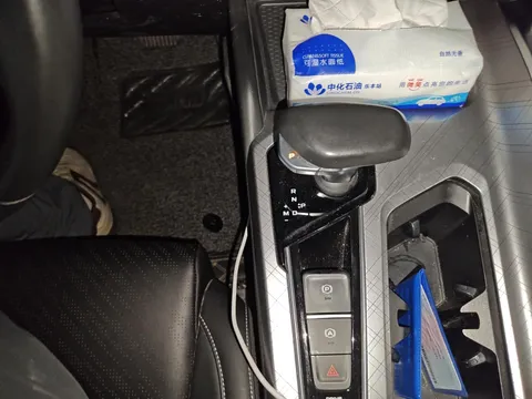 Geely Preface (Xingrui)