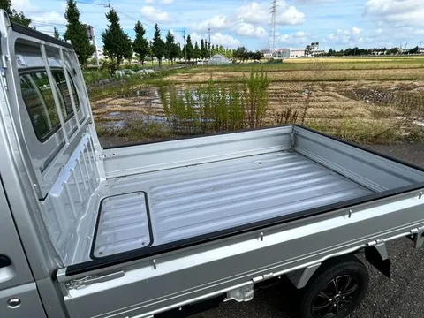 Suzuki Carry Track