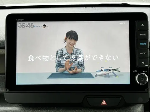 Honda N-BOX Joy