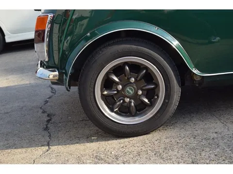 Rover Mini