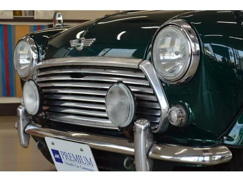 Rover Mini