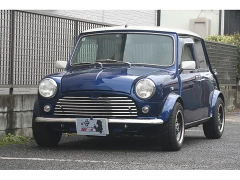 Rover Mini