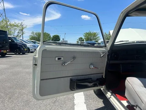 Rover Mini
