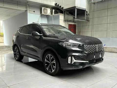 Wey VV6