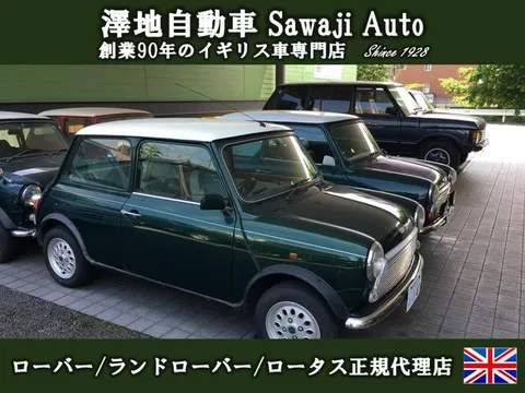 Rover Mini