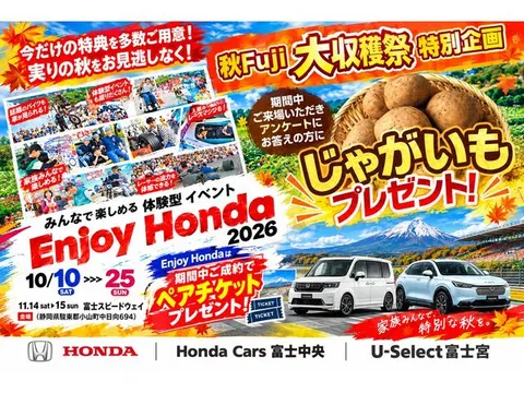 Honda N-WGN Custom