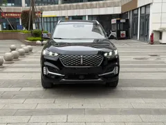 Wey VV6