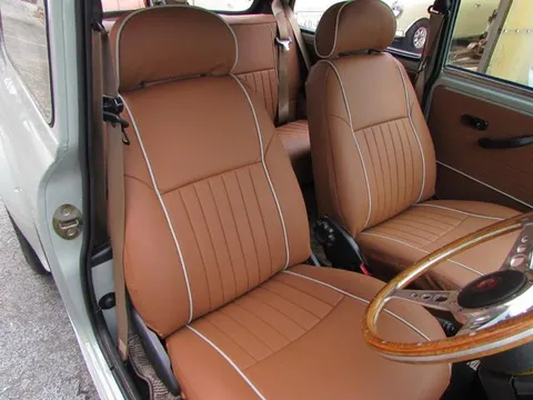 Rover Mini