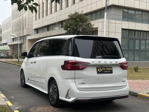 Maxus G20