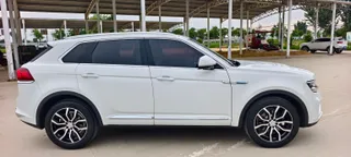 Zotye