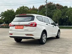 Baojun 310W