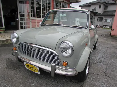Rover Mini