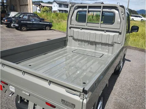 Suzuki Carry Track