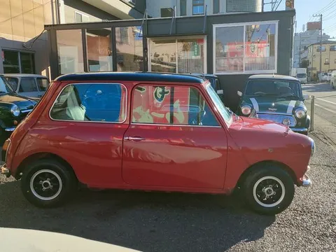 Rover Mini