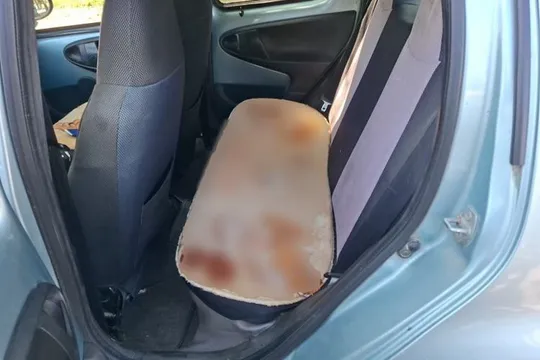 BYD F0