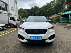 Wey VV6