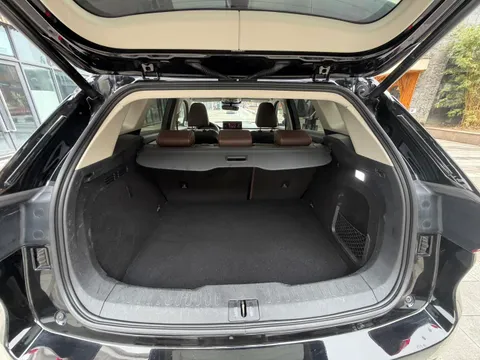 Wey VV6