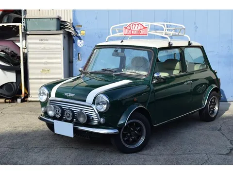 Rover Mini