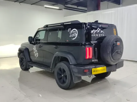 Tank 300