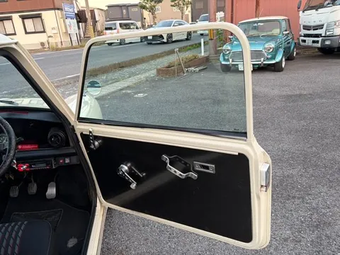 Rover Mini