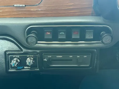 Rover Mini
