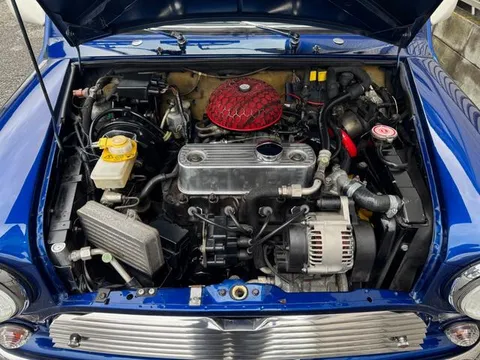 Rover Mini