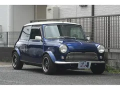 Rover Mini