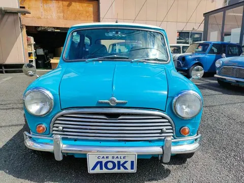Rover Mini