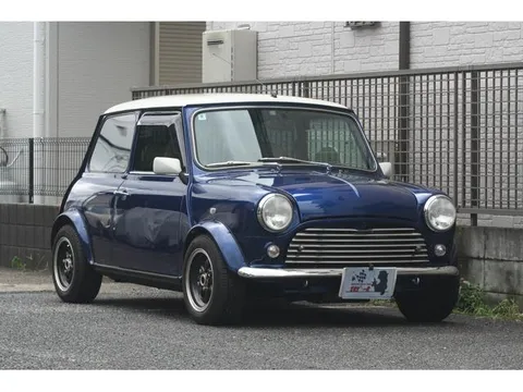 Rover Mini