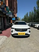 Buick Envision S