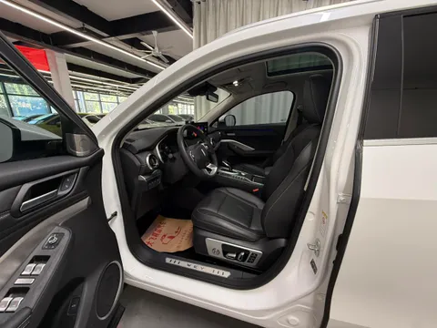 Wey VV6
